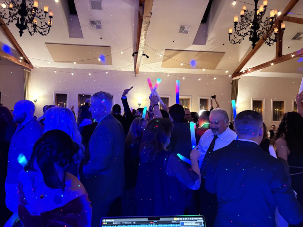 Crowd on the dance floor
